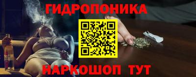 a pvp Новодвинск